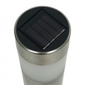 Lampioncino solare led luce bianca 2pz esterno giardino Segnapasso con picchetto