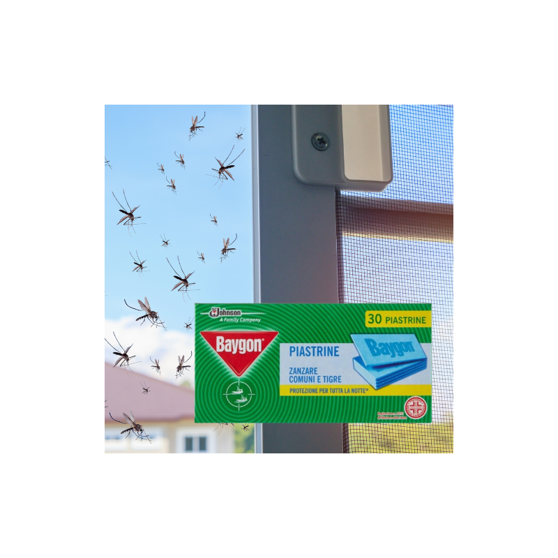 Baygon 360 Piastrine Baygon Antizanzare Comuni Tigri Ricarica ricam...