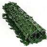 Hongu Siepe sintetica 1X3 MT artificiale foglie fogliame edera supp...