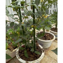 25x Tutori per piante 90cm Ø11mm verde in metallo Bastoni di sostegno paletti