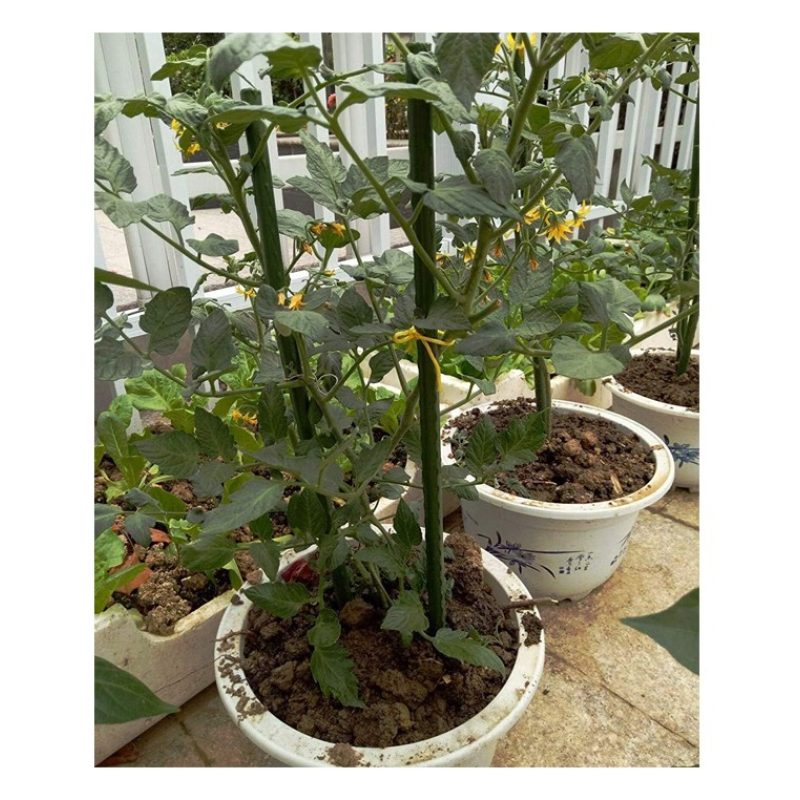 New Arcobaleno 25x Tutori per piante 90cm Ø11mm verde in metallo Ba...