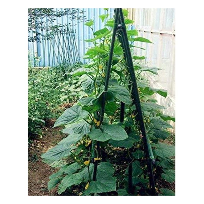 New Arcobaleno 25x Tutori per piante 90cm Ø11mm verde in metallo Ba...