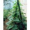 New Arcobaleno 25x Tutori per piante 90cm Ø11mm verde in metallo Ba...