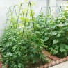 New Arcobaleno 25x Tutori per piante 90cm Ø11mm verde in metallo Ba...