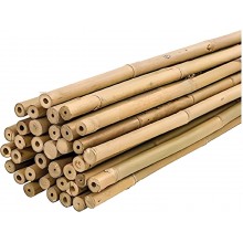50 Canne di Bamboo per orto 150 cm Bambù tutori sostegno per piante canna