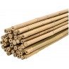 New Arcobaleno 50 Canne di Bamboo per orto 150 cm Bambù tutori sost...