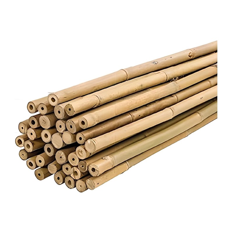 50 Canne di Bamboo per orto 120 cm Bambù tutori sostegno per piante D.10/12MM