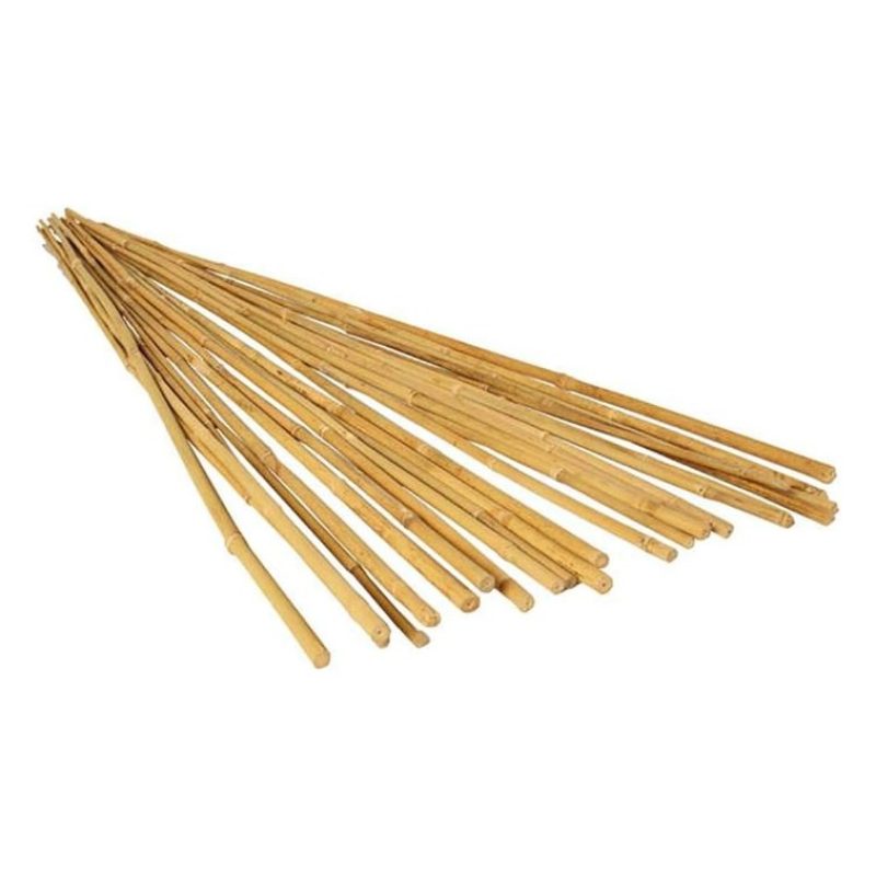 New Arcobaleno 50 Canne di Bamboo per orto 120 cm Bambù tutori sost...
