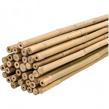 50 Canne di Bamboo per orto 120 cm Bambù tutori sostegno per piante D.8/10 MM
