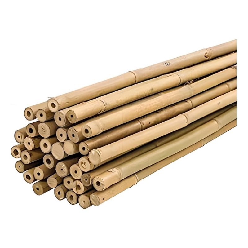 New Arcobaleno 50 Canne di Bamboo per orto 90 cm Bambù tutori soste...
