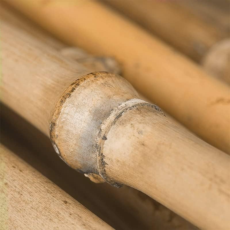 New Arcobaleno 50 Canne di Bamboo per orto 90 cm Bambù tutori soste...
