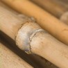 New Arcobaleno 50 Canne di Bamboo per orto 90 cm Bambù tutori soste...