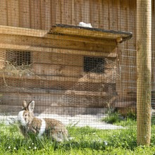 Rete Metallica per Recinzioni giardino Plastificata Rigida rotolo da 1x10 m  