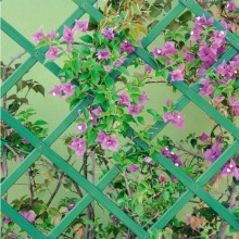 Traliccio estensibile Bamboo per piante rampicanti parete balcone terrazzo bambù