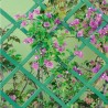New Arcobaleno Traliccio estensibile Bamboo per piante rampicanti p...