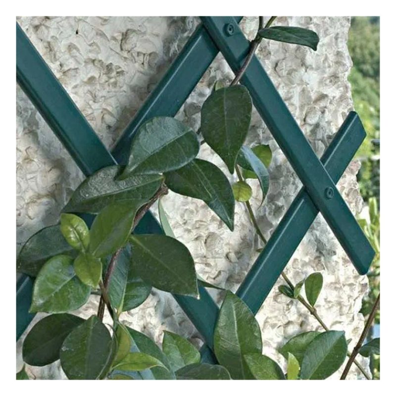 New Arcobaleno Traliccio estensibile Bamboo per piante rampicanti p...