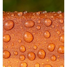 Impregnante Acrilico All'Acqua per Legno Facile da usare 0.75 L Pronto uso