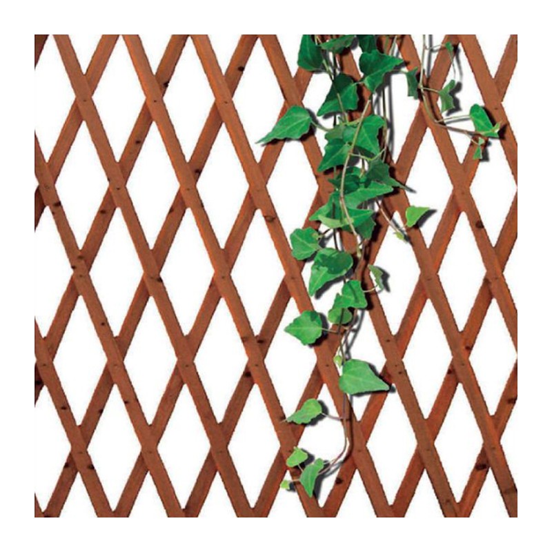 Traliccio Rete Estensibile In Legno Scuro Parete Giardino Piante varie misure