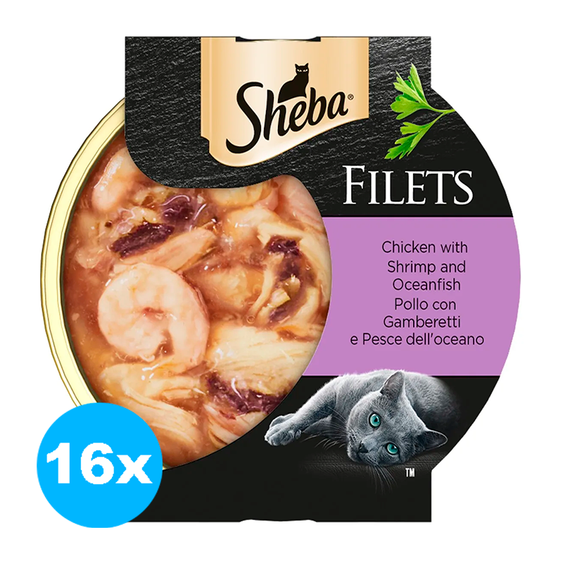 Sheba Filets gusto Pollo al naturale Cibo Umido Gatto Cat Lattina Multipack 16 monoporzioni da 60G