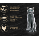 Sheba Filets gusto Pollo al naturale Cibo Umido Gatto Cat Lattina Multipack 16 monoporzioni da 60G