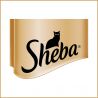 Sheba Sheba Classics Paté Vitello e Pollo Cibo Umido per Gatti for ...