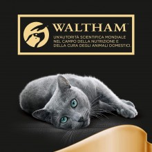 Sheba Classics Paté Manzo Cibo Umido Completo Gatti Adulti Vaschette 22x 85g