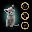 Sheba in Salsa Cibo per Gatti con pollo e salmone per cuccioli Kitten 52x85 g
