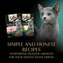 Sheba in Salsa Cibo per Gatti con pollo e salmone per cuccioli Kitten 52x85 g