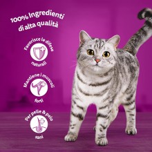 Whiskas Cibo per Gatti Straccetti Selezione Assortita - 52 bustine da 85g Umido