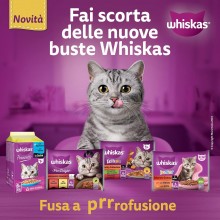 Whiskas Cibo per Gatti Straccetti Selezione Assortita - 52 bustine da 85g Umido