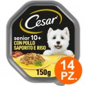 Cesar per Cani Senior 10+ con Pollo Saporito e Riso in Salsa 14 vaschette 150g