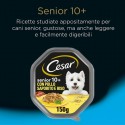 Cesar per Cani Senior 10+ con Pollo Saporito e Riso in Salsa 14 vaschette 150g
