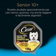 Cesar per Cani Senior 10+ con Pollo Saporito e Riso in Salsa 14 vaschette 150g