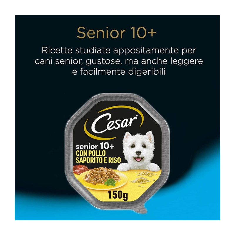 Cesar Senior 10+ - Cibo Umido Per Cani Anziani, Pollo E Riso, 14 Vaschette Da 150 G - Foto 4