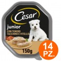 Cesar Junior con Tenero Tacchino e Vitello Cibo per Cani Cuccioli Vaschette 150g
