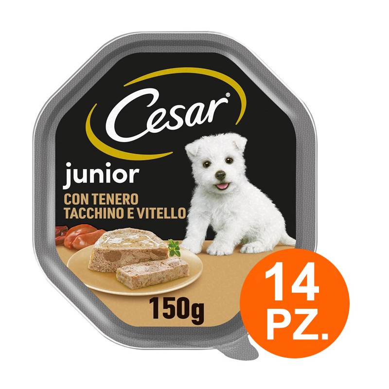 Cesar Junior con Tenero Tacchino e Vitello Cibo per Cani Cuccioli Vaschette 150g