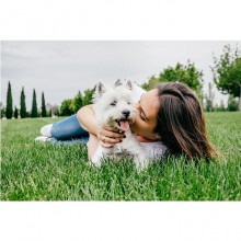 Cesar Junior con Tenero Tacchino e Vitello Cibo per Cani Cuccioli Vaschette 150g