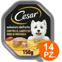 Cesar Selezioni dell'Orto Cibo per Cani con Pollo Carote - 14 Vaschette da 150g