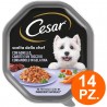 Cesar Cesar Selezioni dell'Orto Cibo per Cani Agnello e Carote - 14...
