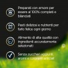 Cesar Cesar Selezioni dell'Orto Cibo per Cani Agnello e Carote - 14...
