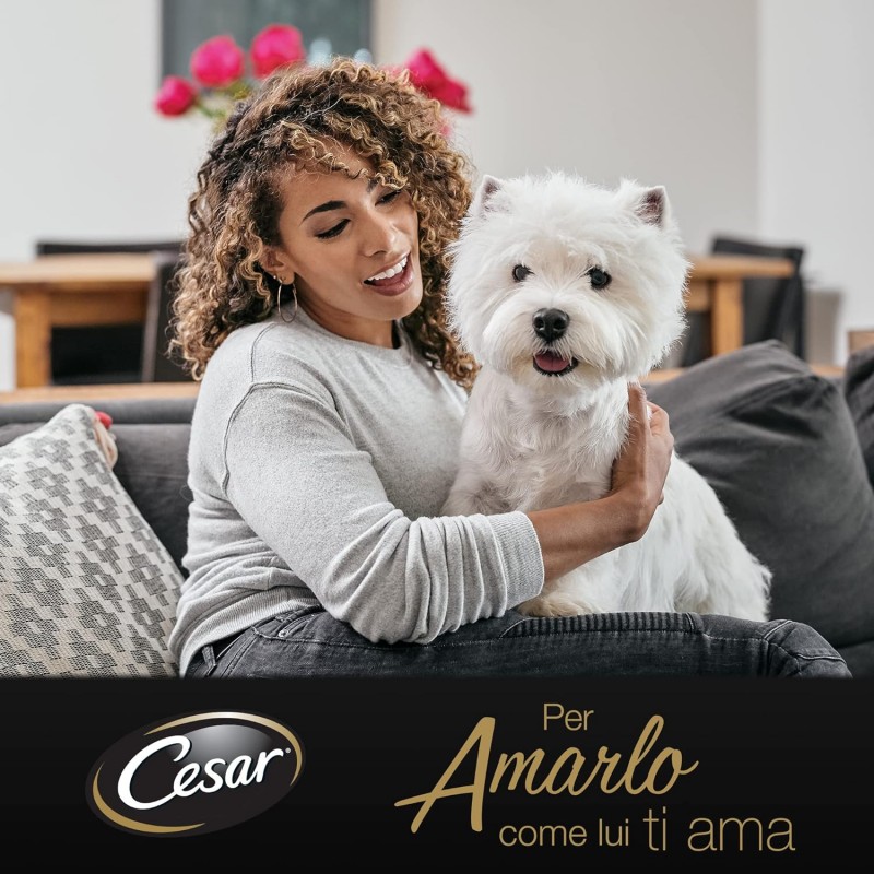 Cesar Cesar Selezioni dell'Orto Cibo per Cani Agnello e Carote - 14...