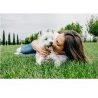 Cesar Cesar Selezioni dell'Orto Cibo per Cani Agnello e Carote - 14...