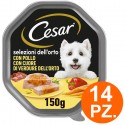 Cesar Selezioni dell'Orto patè Cibo per Cani pollo e verdure 14 Vaschette 150g