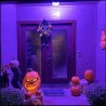 Guirca 3 Lampadina UV viola nero brillante E27 per illuminazione Ha...