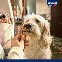 Vitakraft Beef Stick di manzo pesce alimento per cani cane 50 Bastoncini da 12 g