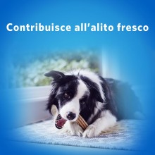 Purina Dentalife igiene orale cane pulisce denti 24 Sticks cani taglia grande
