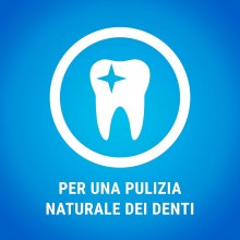 Purina Dentalife igiene orale cane 42 Sticks pulisce denti cani taglia small