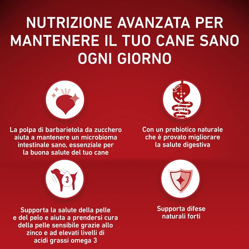 Purina Purina One mini delicate crocchette per cani small con salmo...