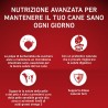 Purina Purina One mini delicate crocchette per cani small con salmo...