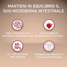 Purina One mini delicate crocchette per cani small con manzo e riso 3 x 800g